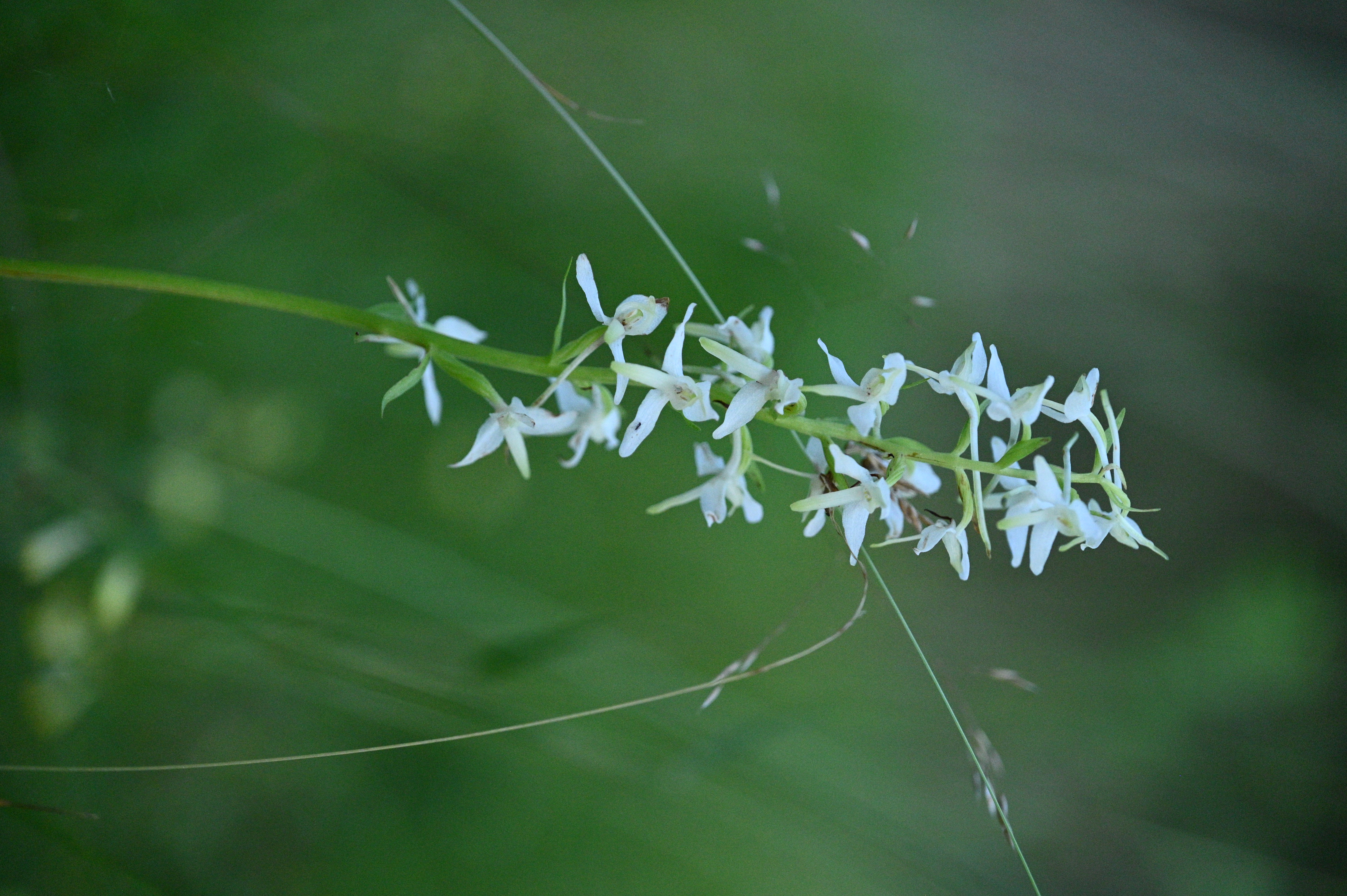 2025/07/09-14 - trip/DSC_0646.JPG